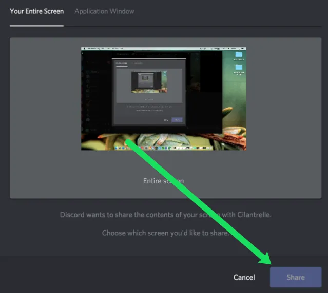 How To Enable Screen Share In Discord