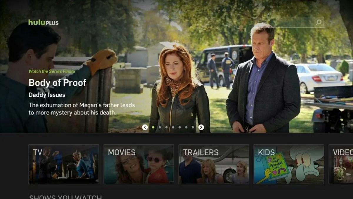 How to Fix it When Hulu is not Working on Roku