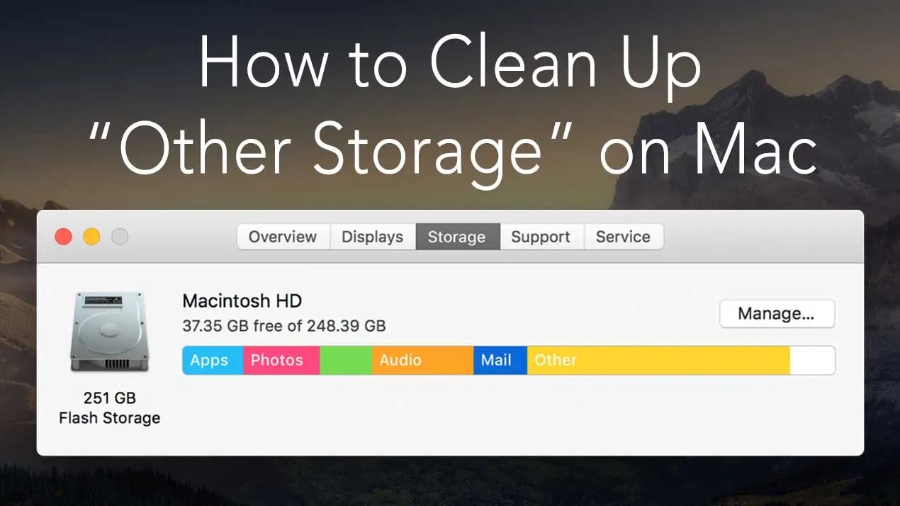 How to Delete ‘Other Storage’ on the Mac