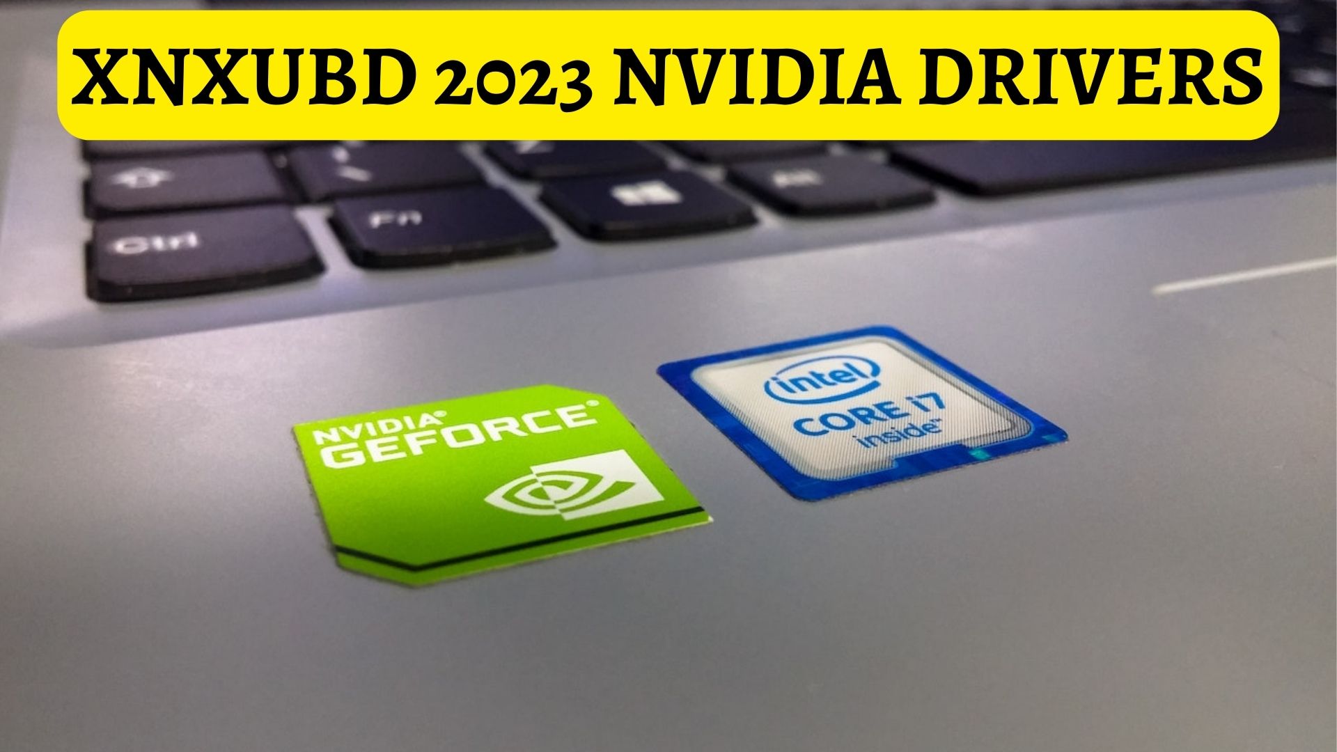 Xnxubd 2023 Nvidia Drivers - System Stability And Performance
